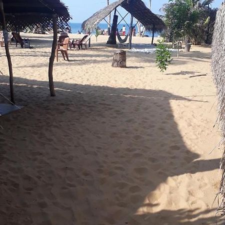 Dolphinchilling Hotel Alankuda Luaran gambar
