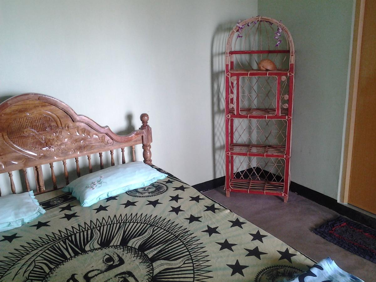 Dolphinchilling Hotel Alankuda Luaran gambar