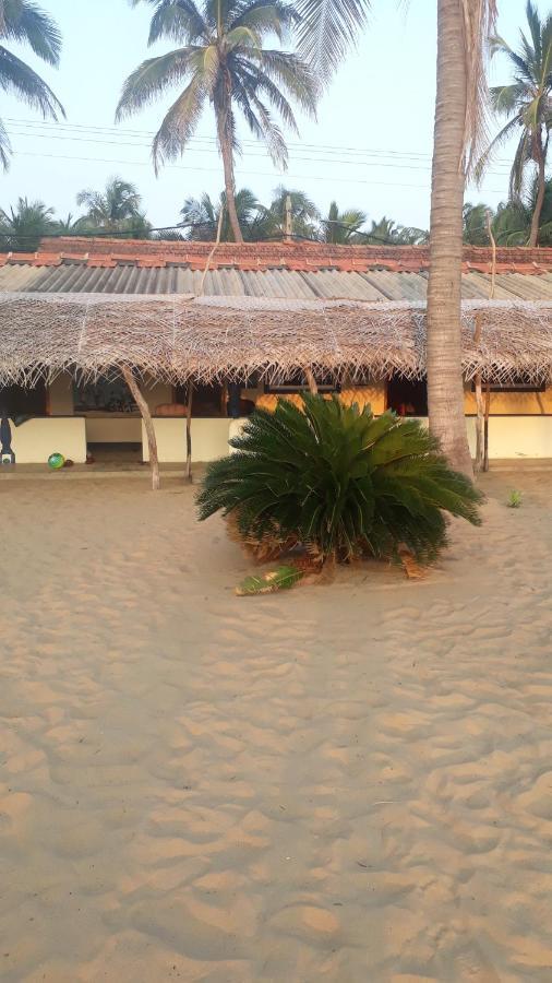 Dolphinchilling Hotel Alankuda Luaran gambar