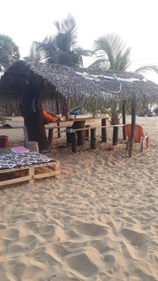 Dolphinchilling Hotel Alankuda Luaran gambar