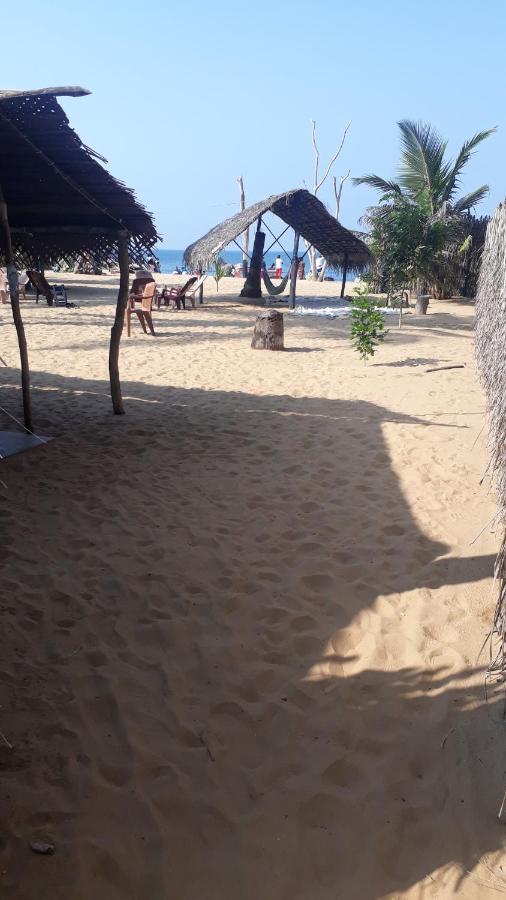 Dolphinchilling Hotel Alankuda Luaran gambar