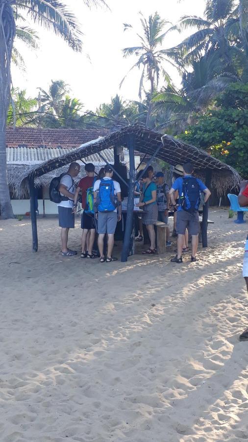 Dolphinchilling Hotel Alankuda Luaran gambar